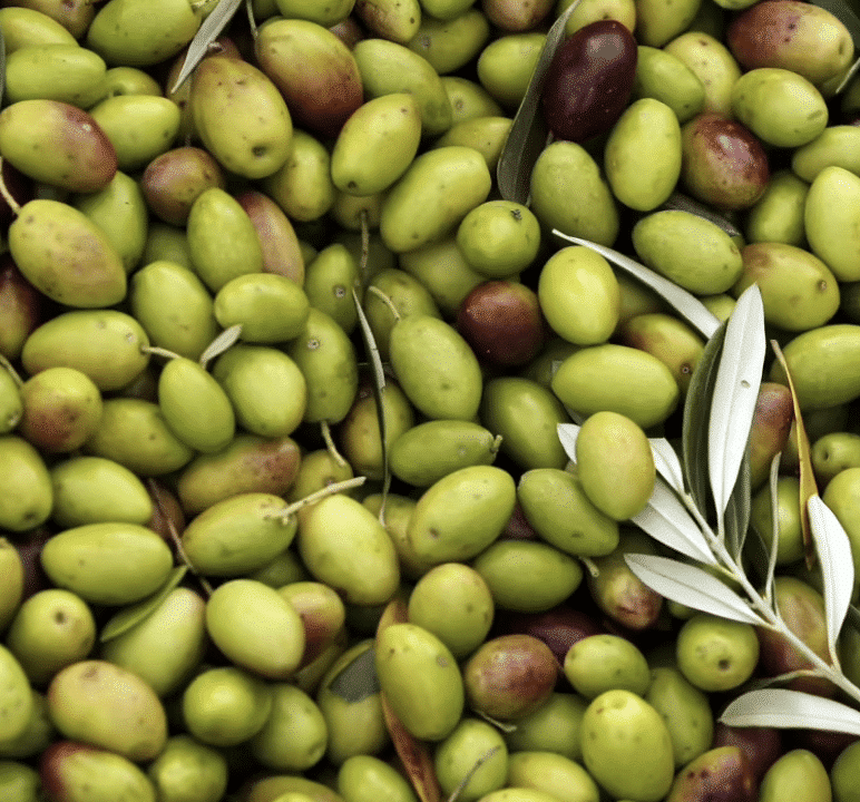 huile d'olive bienfaits